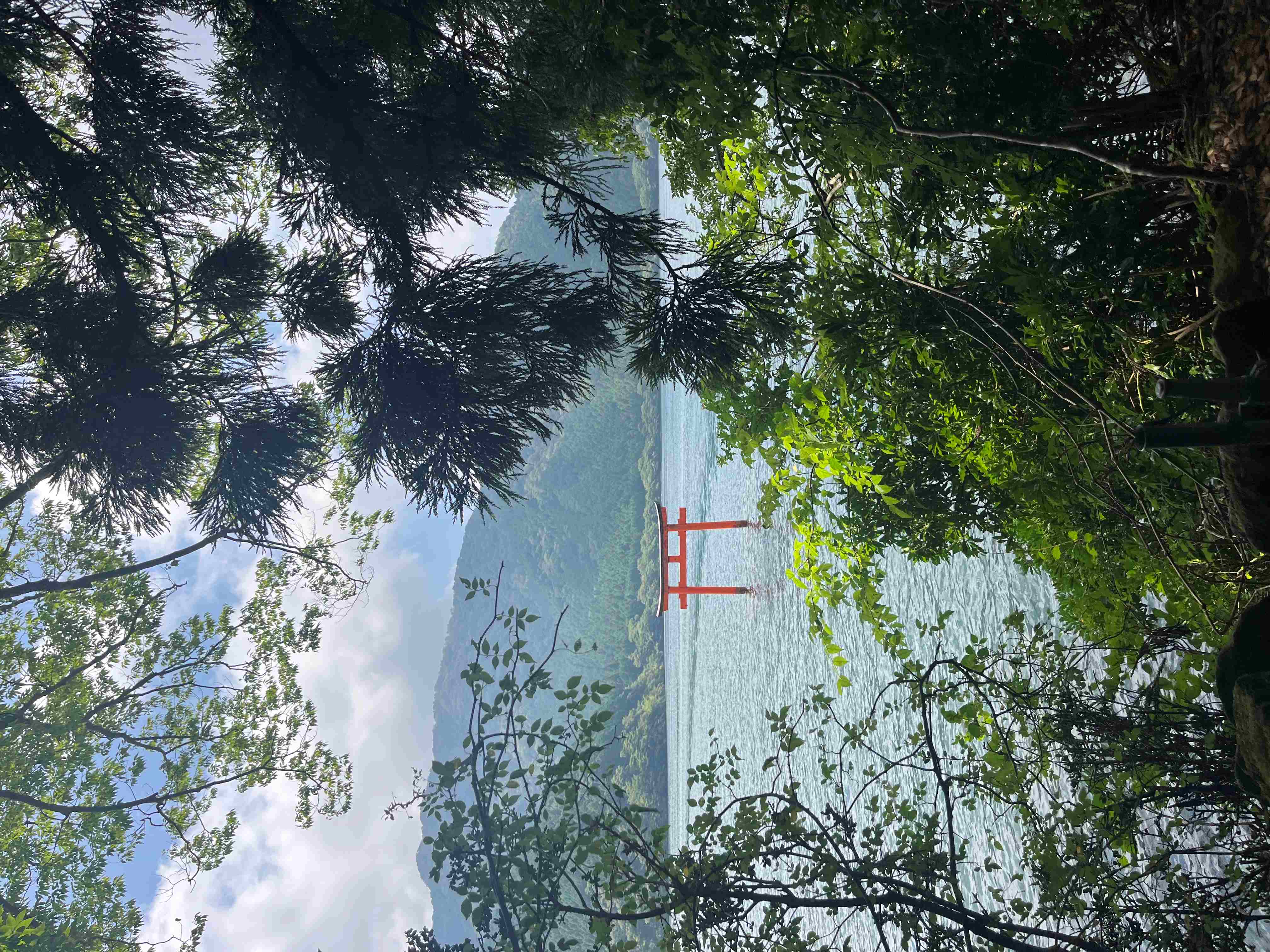 デザイン演習Ⅰ・Ⅱ